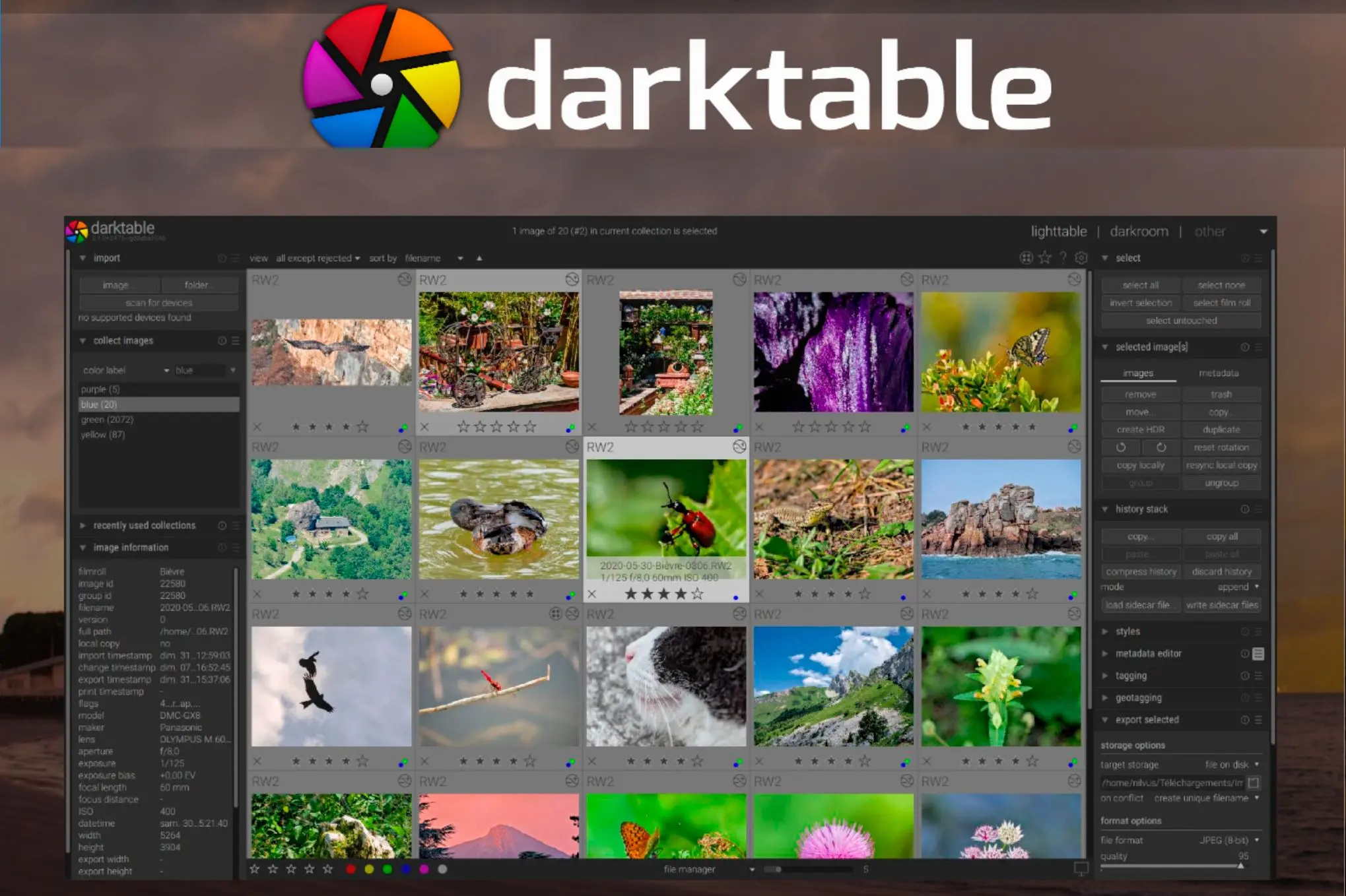 Darktable como alternativa..