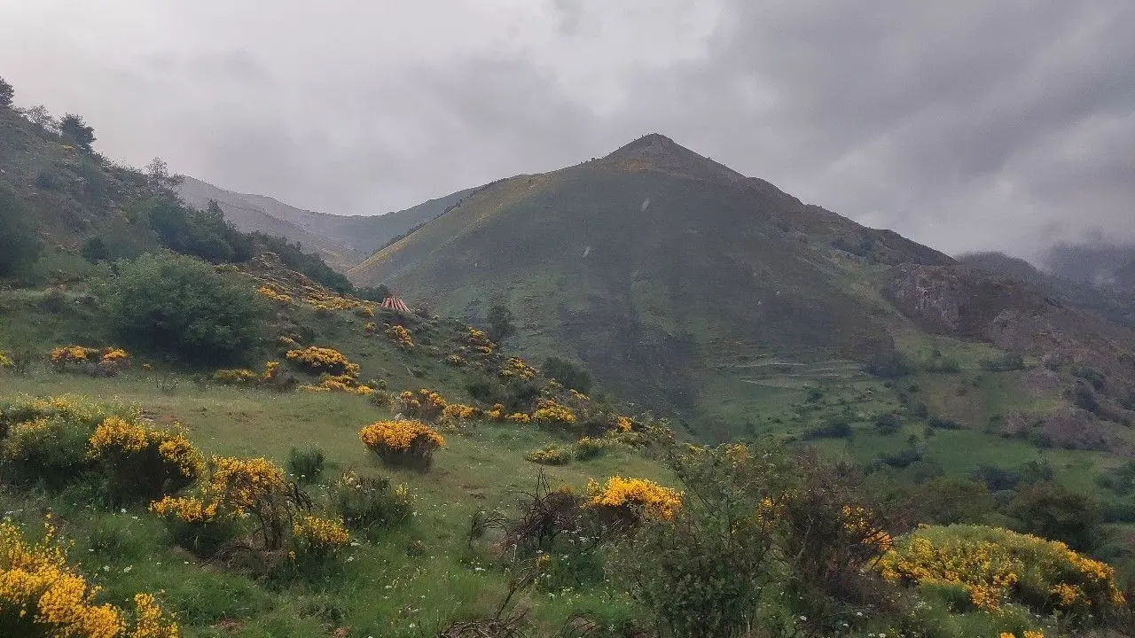 Hacer que el cielo esté más soleado con arcoíris y agregar pequeños elefantes 1.